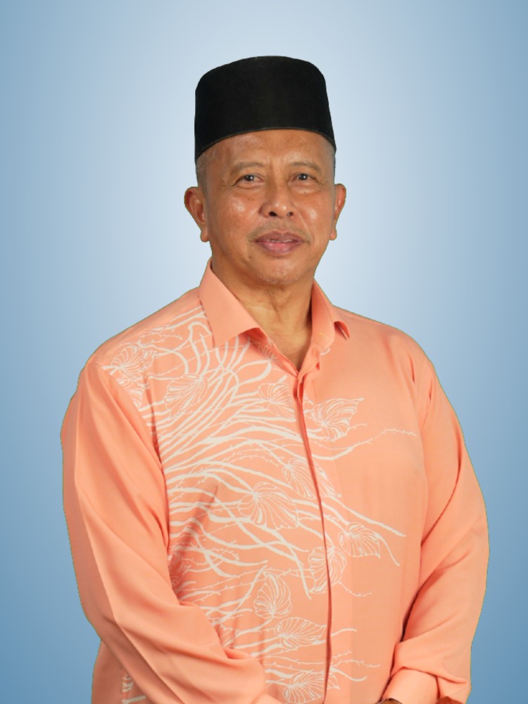 Encik Badrul Hisham bin Abd Aziz